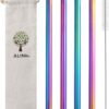 ALINK 6-Pack Stainless Steel Metal Boba Straws